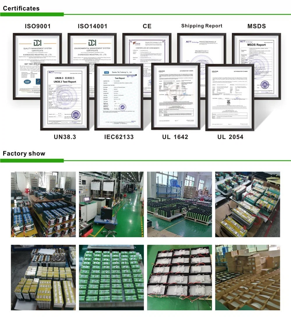 Solar Rechargeable Lithium Battery 12V 100ah Deep Cycle LiFePO4 Battery Pack for Lead Acid Battery Replacement